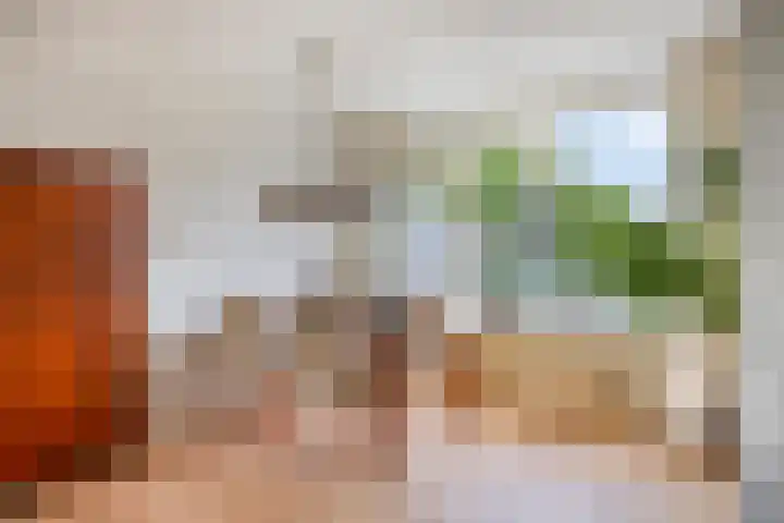 Elisadonk 263 Roosendaal thumbnail 10