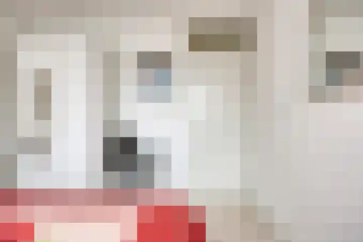 Elisadonk 263 Roosendaal thumbnail 24