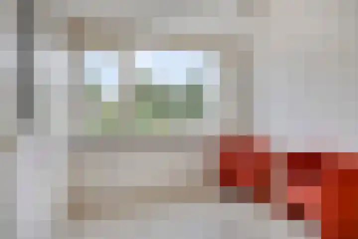 Elisadonk 263 Roosendaal thumbnail 25