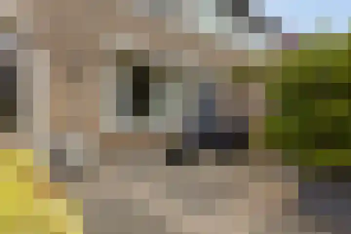 Elisadonk 263 Roosendaal thumbnail 30