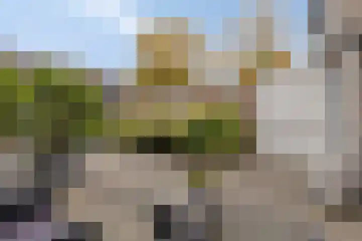 Elisadonk 263 Roosendaal thumbnail 31