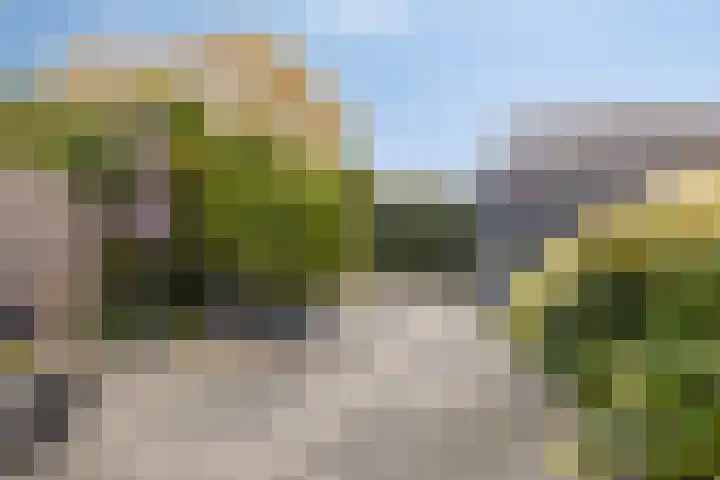 Elisadonk 263 Roosendaal thumbnail 32