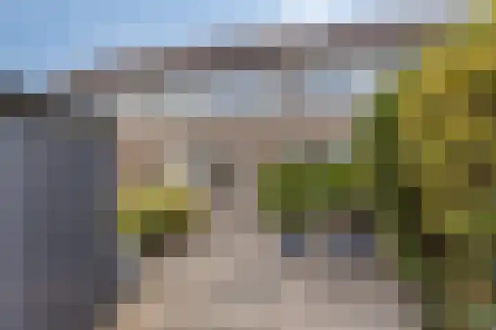 Elisadonk 263 Roosendaal thumbnail 33