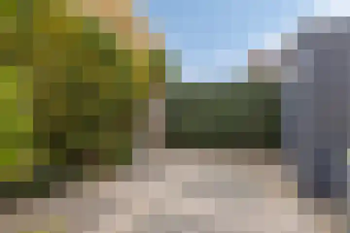 Elisadonk 263 Roosendaal thumbnail 34
