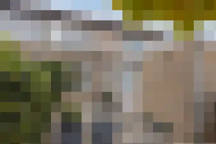 Elisadonk 263 Roosendaal thumbnail 36
