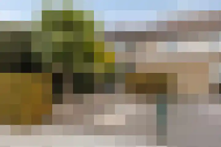 Elisadonk 263 Roosendaal thumbnail 37