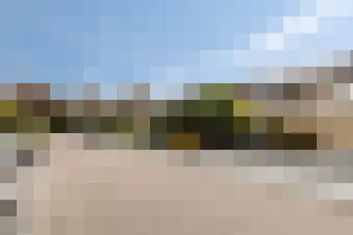 Elisadonk 263 Roosendaal thumbnail 38