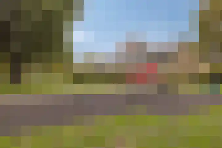 Elisadonk 263 Roosendaal thumbnail 41