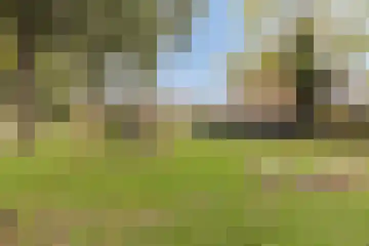 Elisadonk 263 Roosendaal thumbnail 42