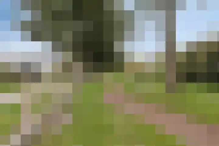 Elisadonk 263 Roosendaal thumbnail 43