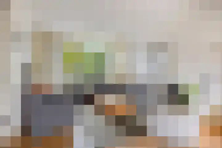 Elisadonk 263 Roosendaal thumbnail 5
