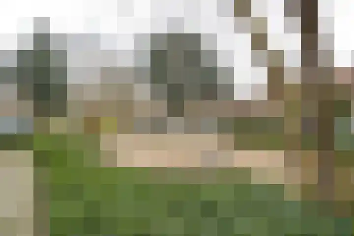 Elise Dammershof 10 Bussum thumbnail 28