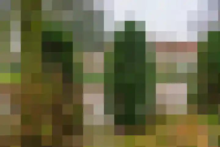 Elise Dammershof 31 Bussum thumbnail 5