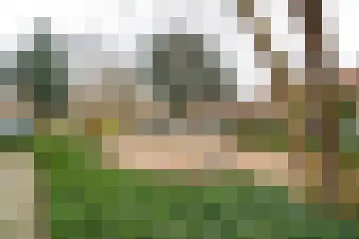 Elise Dammershof 31 Bussum thumbnail 6