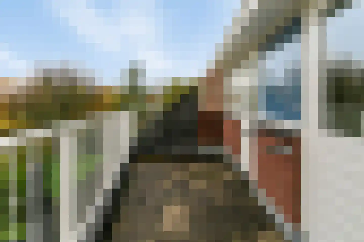 Elise Hoomanshof 8 Arnhem thumbnail 25