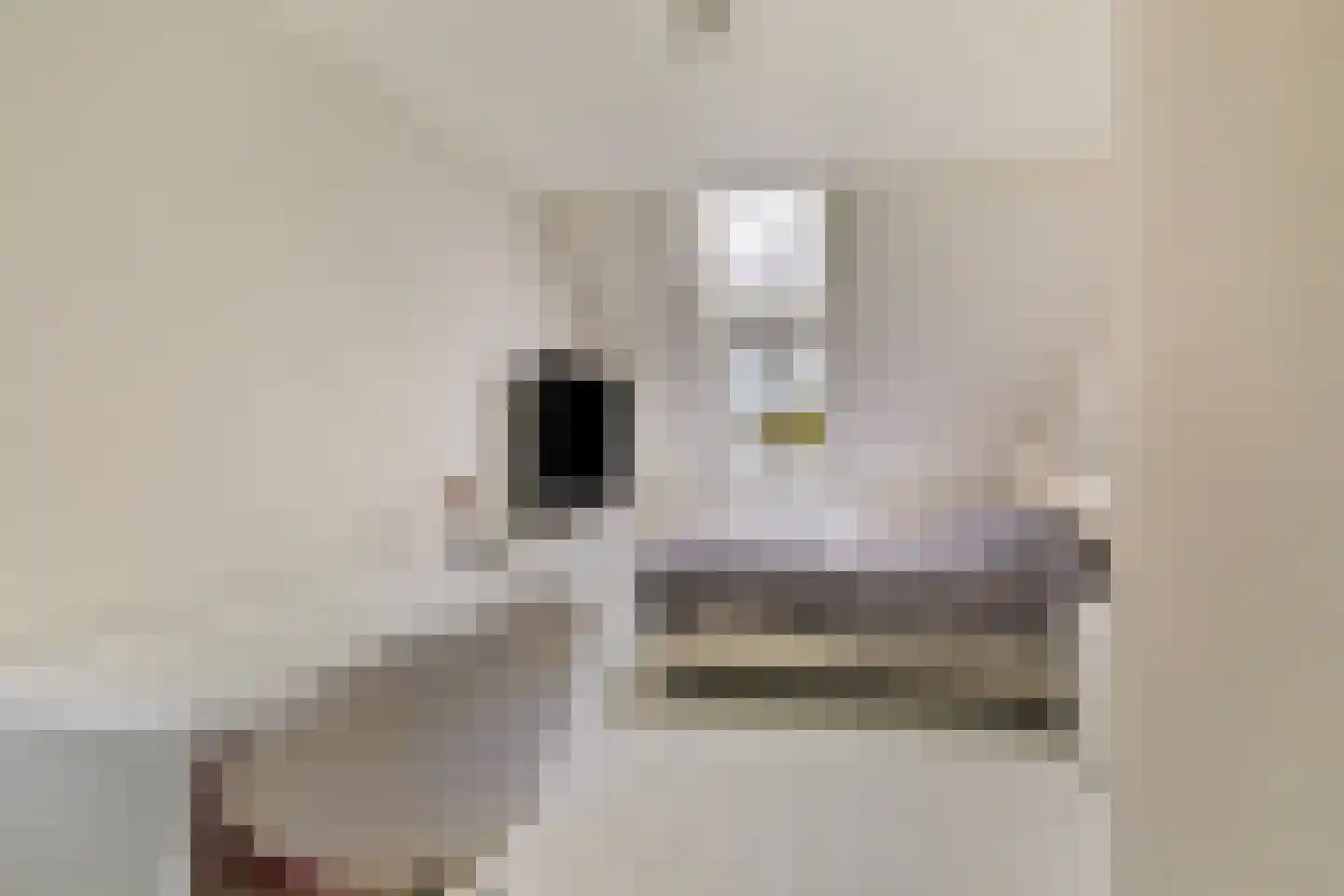 Elise Hoomanshof 8 Arnhem thumbnail 26