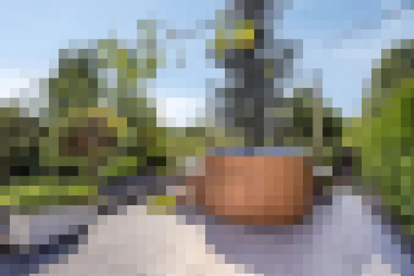 Elise Hoomanshof 8 Arnhem thumbnail 39