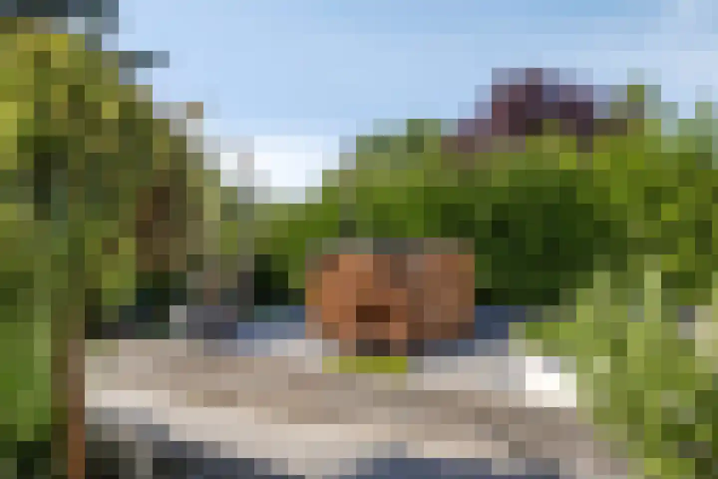 Elise Hoomanshof 8 Arnhem thumbnail 40