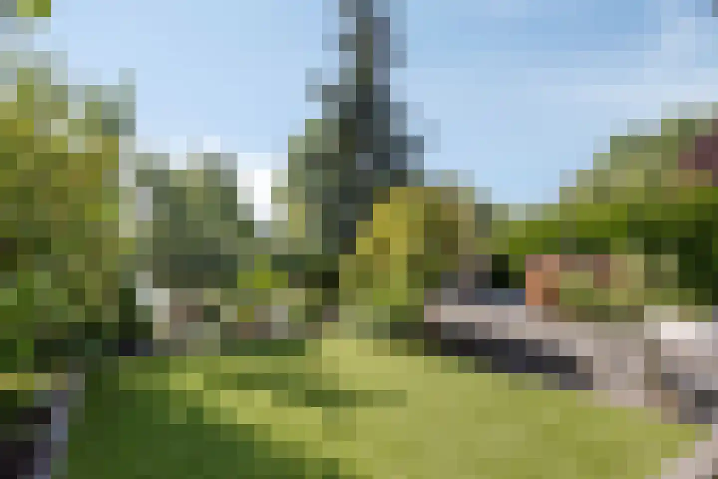 Elise Hoomanshof 8 Arnhem thumbnail 41
