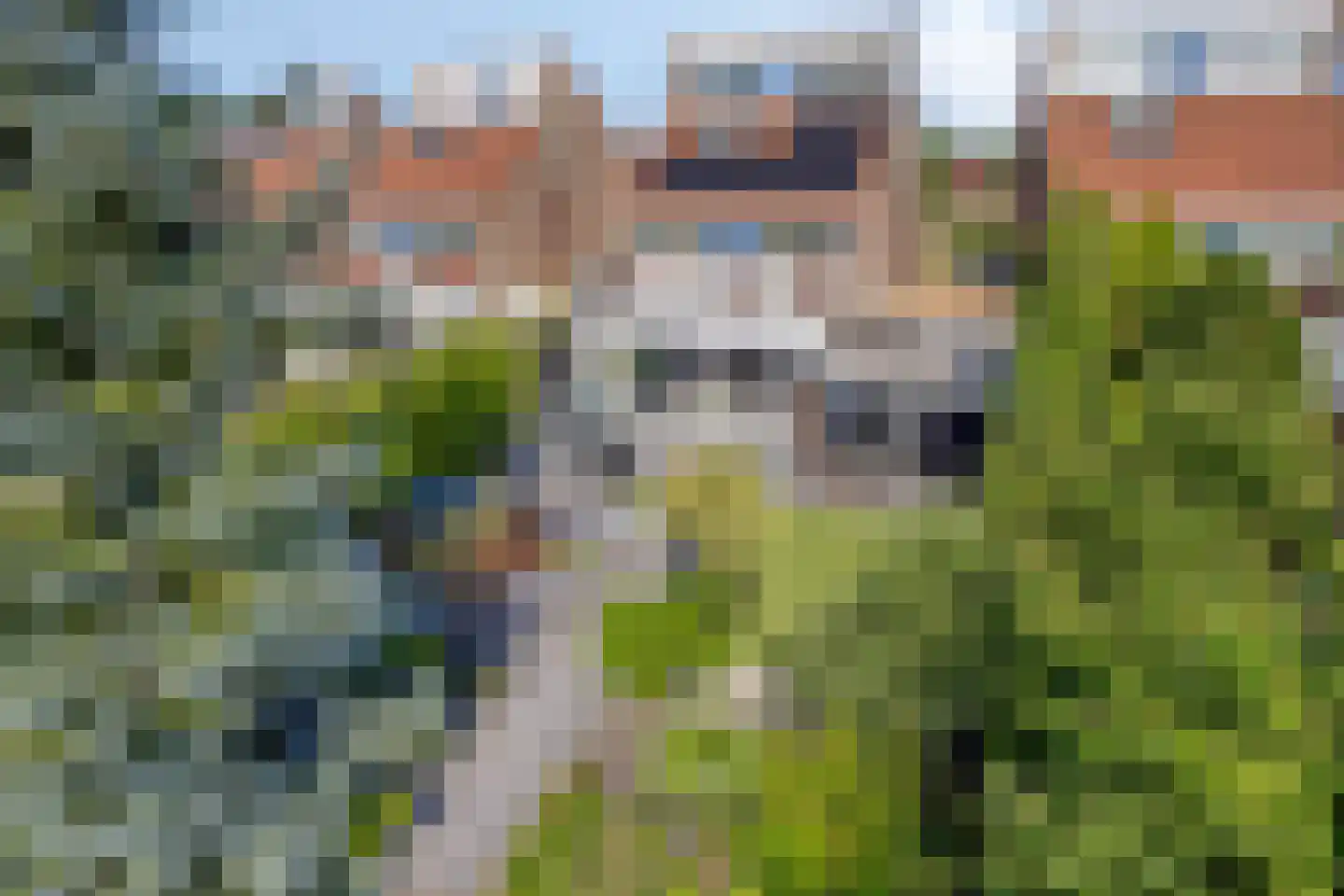Elise Hoomanshof 8 Arnhem thumbnail 5