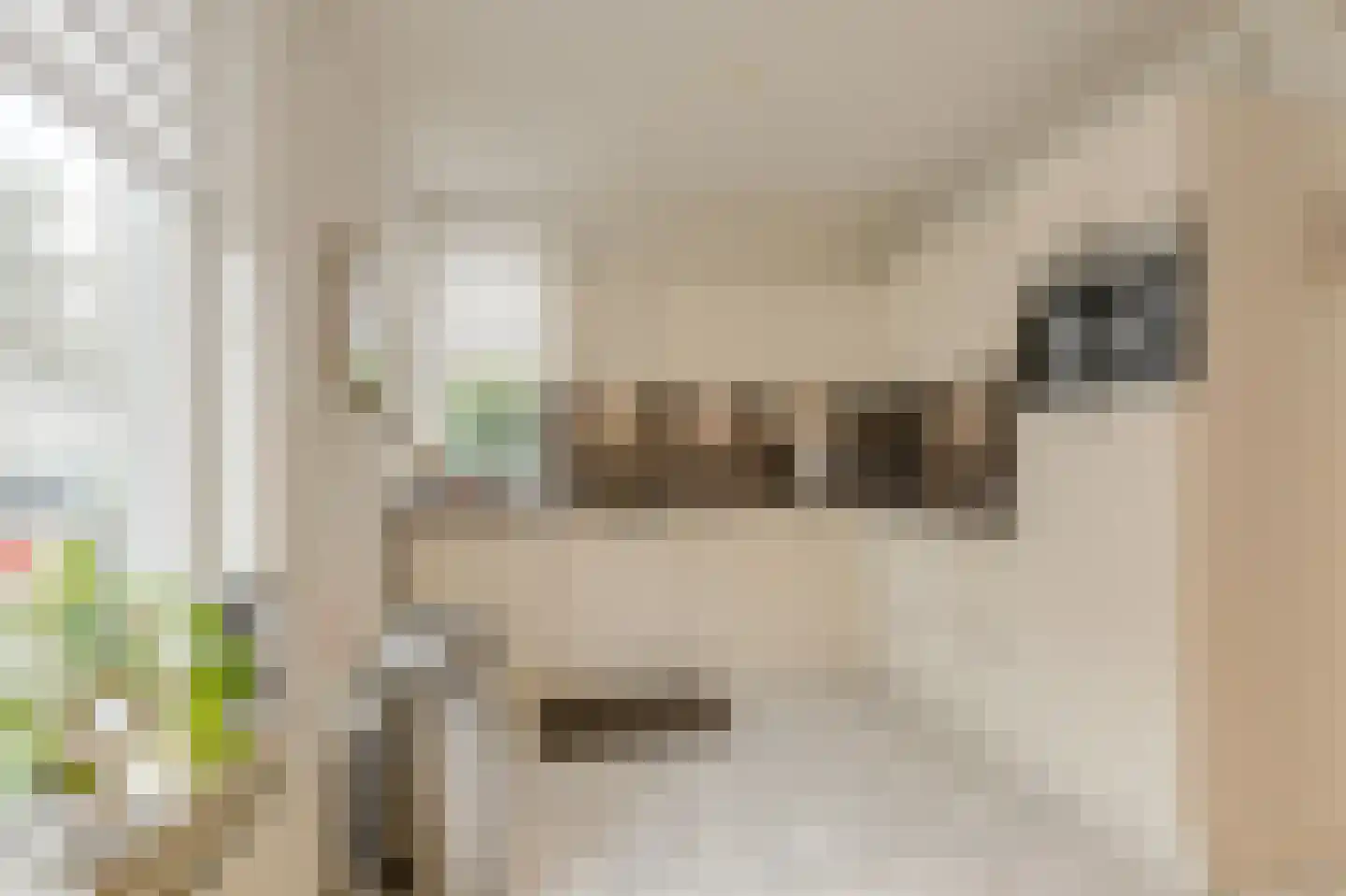 Elise van Calcarstraat 15 Breda thumbnail 18