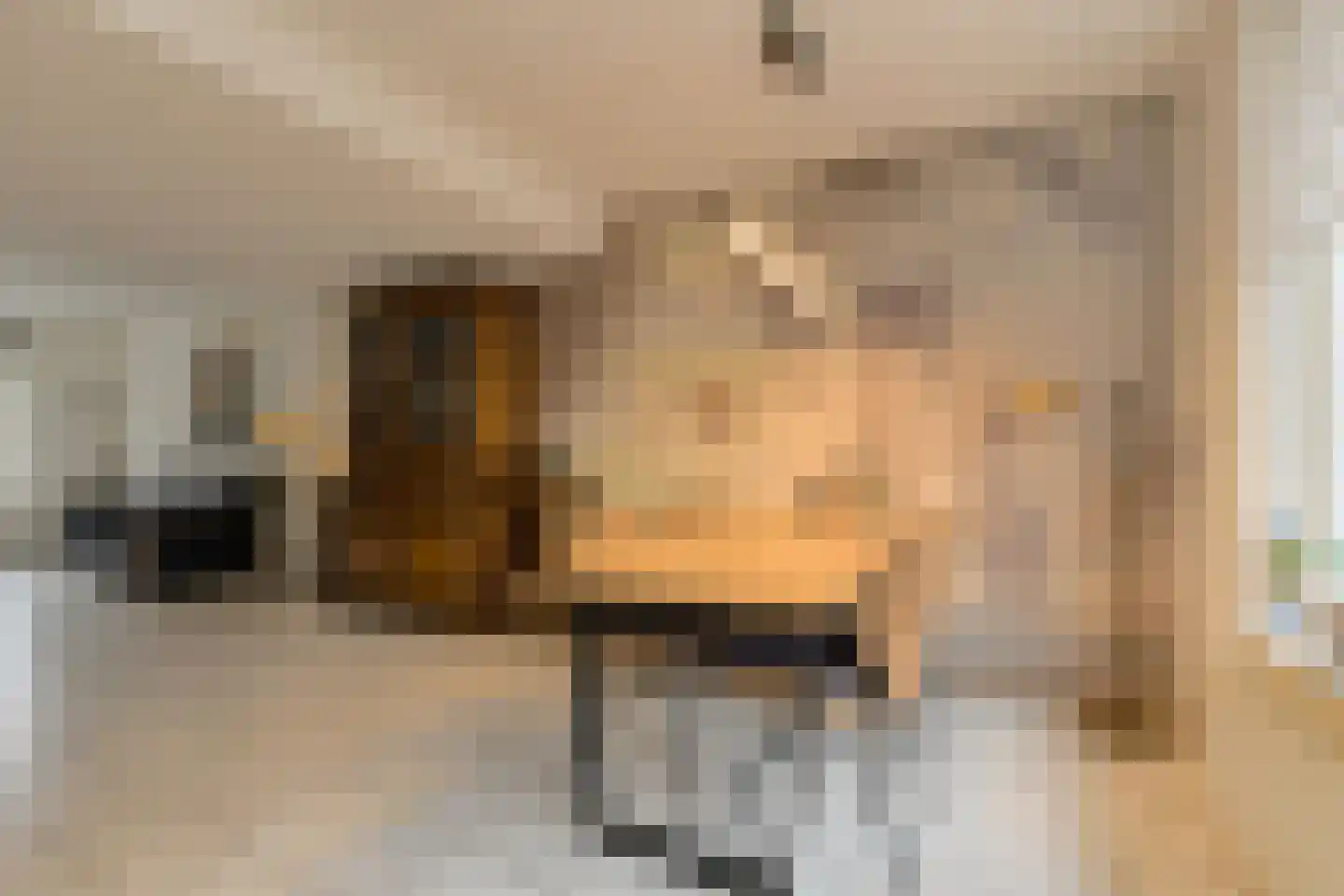 Elise van Calcarstraat 15 Breda thumbnail 22