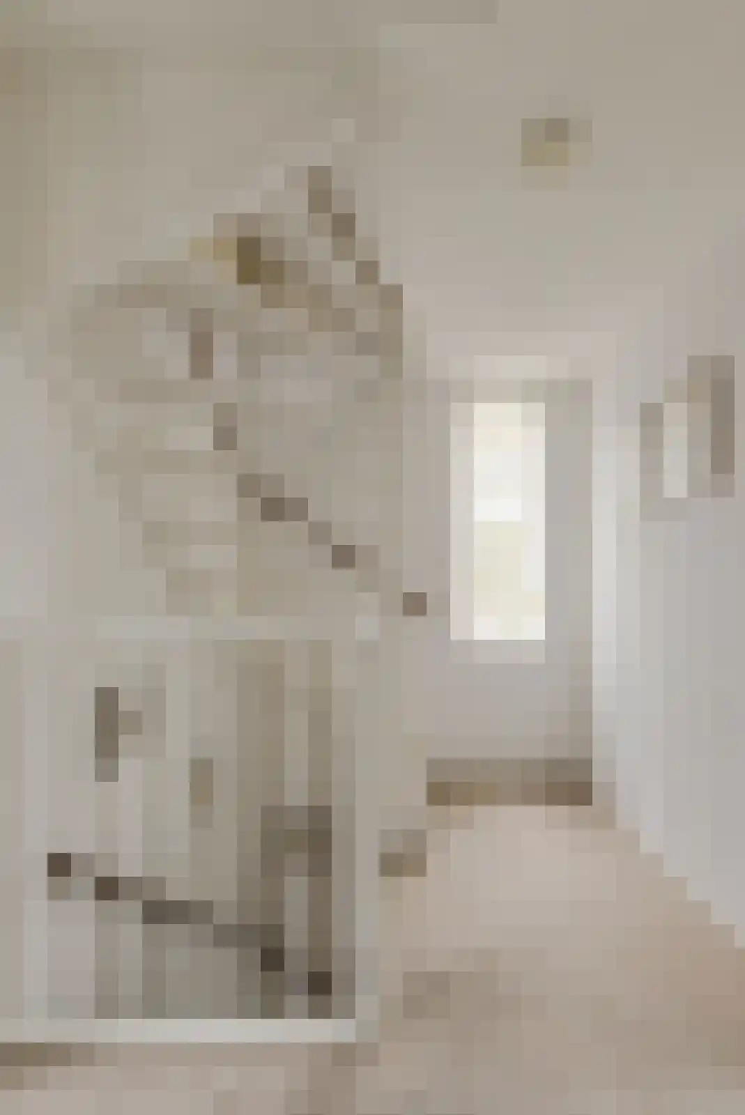 Elise van Calcarstraat 15 Breda thumbnail 34