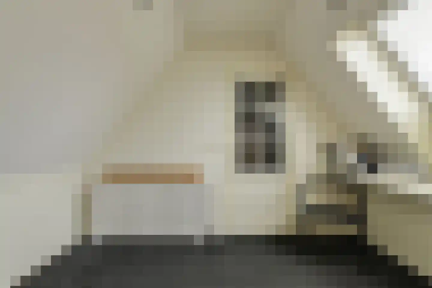 Elise van Calcarstraat 15 Breda thumbnail 38