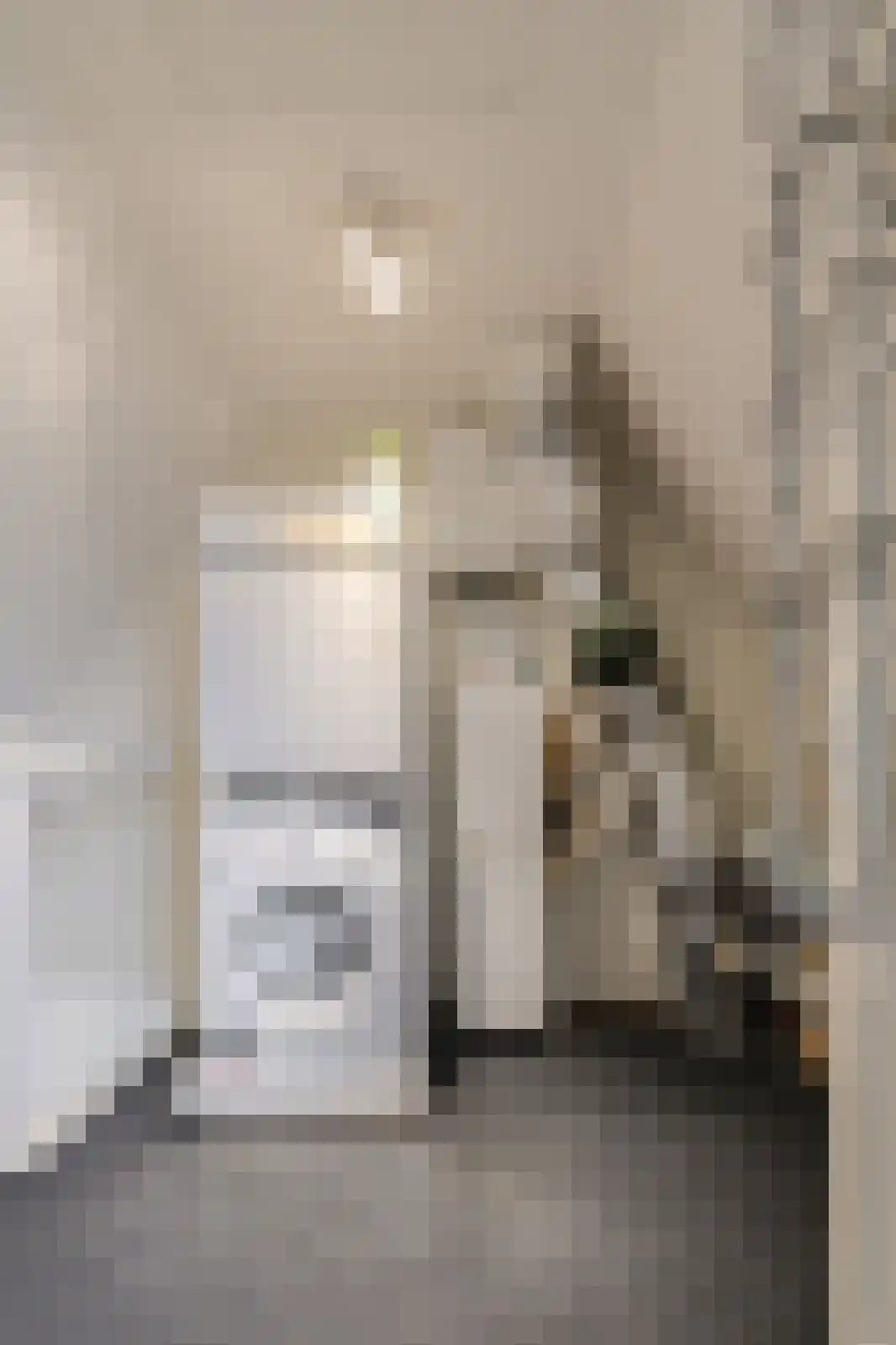 Elise van Calcarstraat 15 Breda thumbnail 39