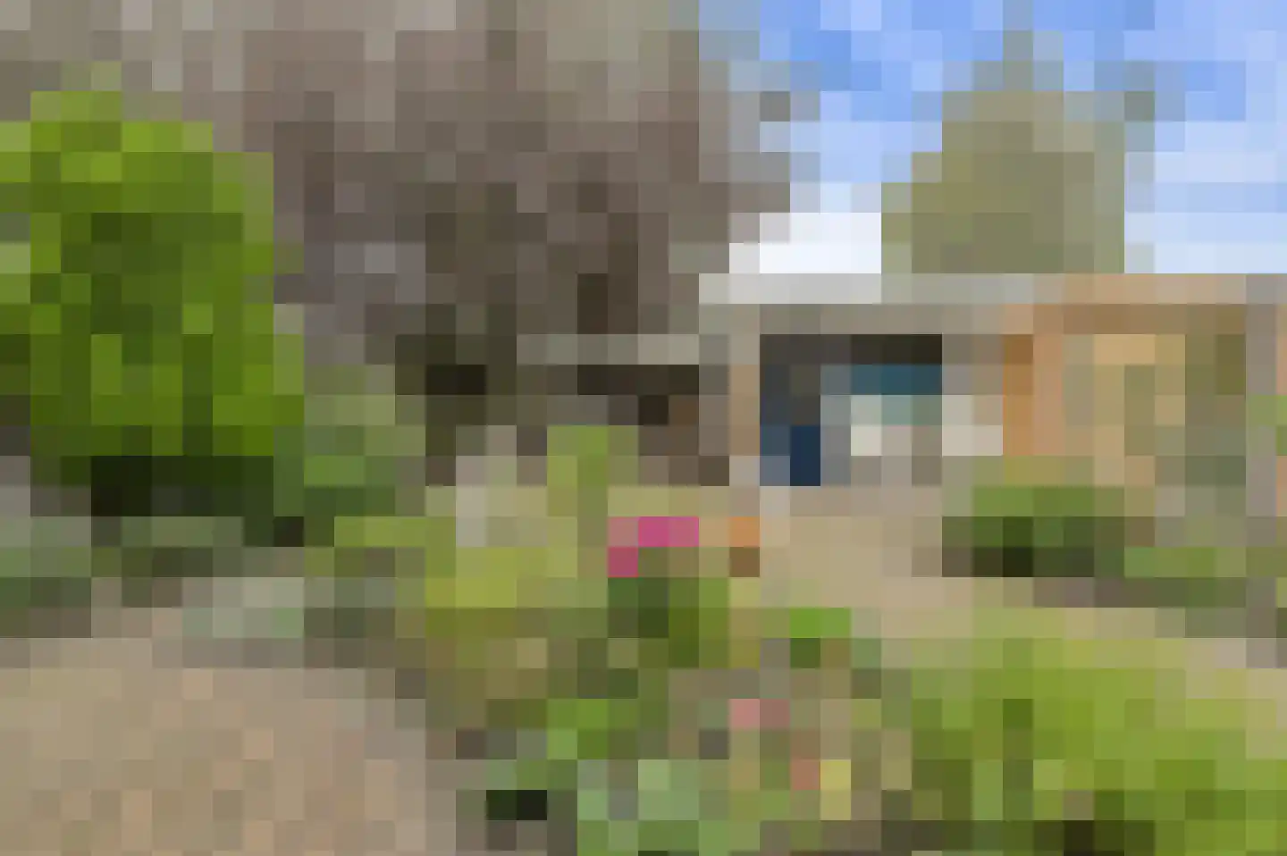 Elise van Calcarstraat 15 Breda thumbnail 42