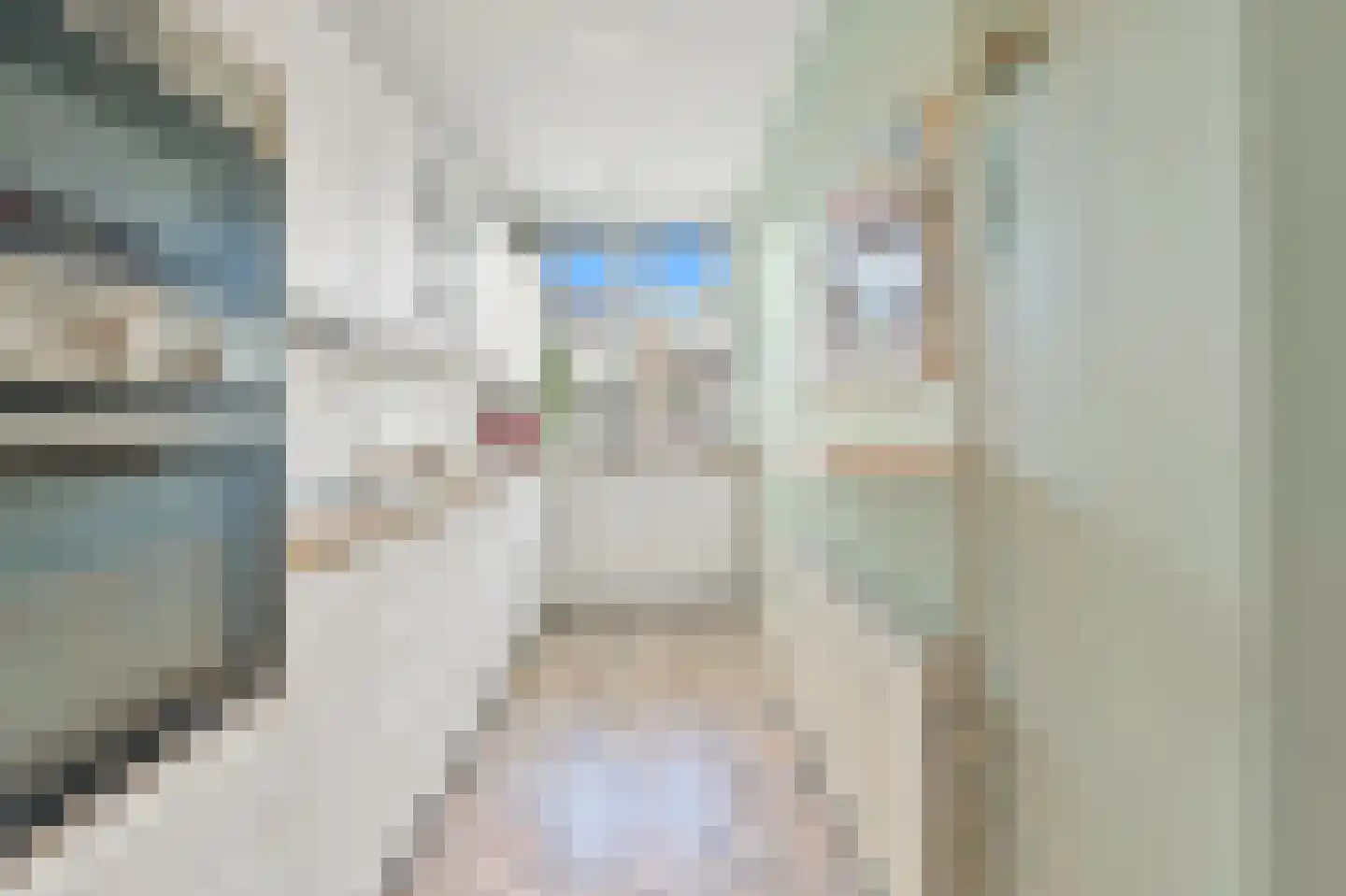 Elise van Calcarstraat 24 Den Haag thumbnail 11