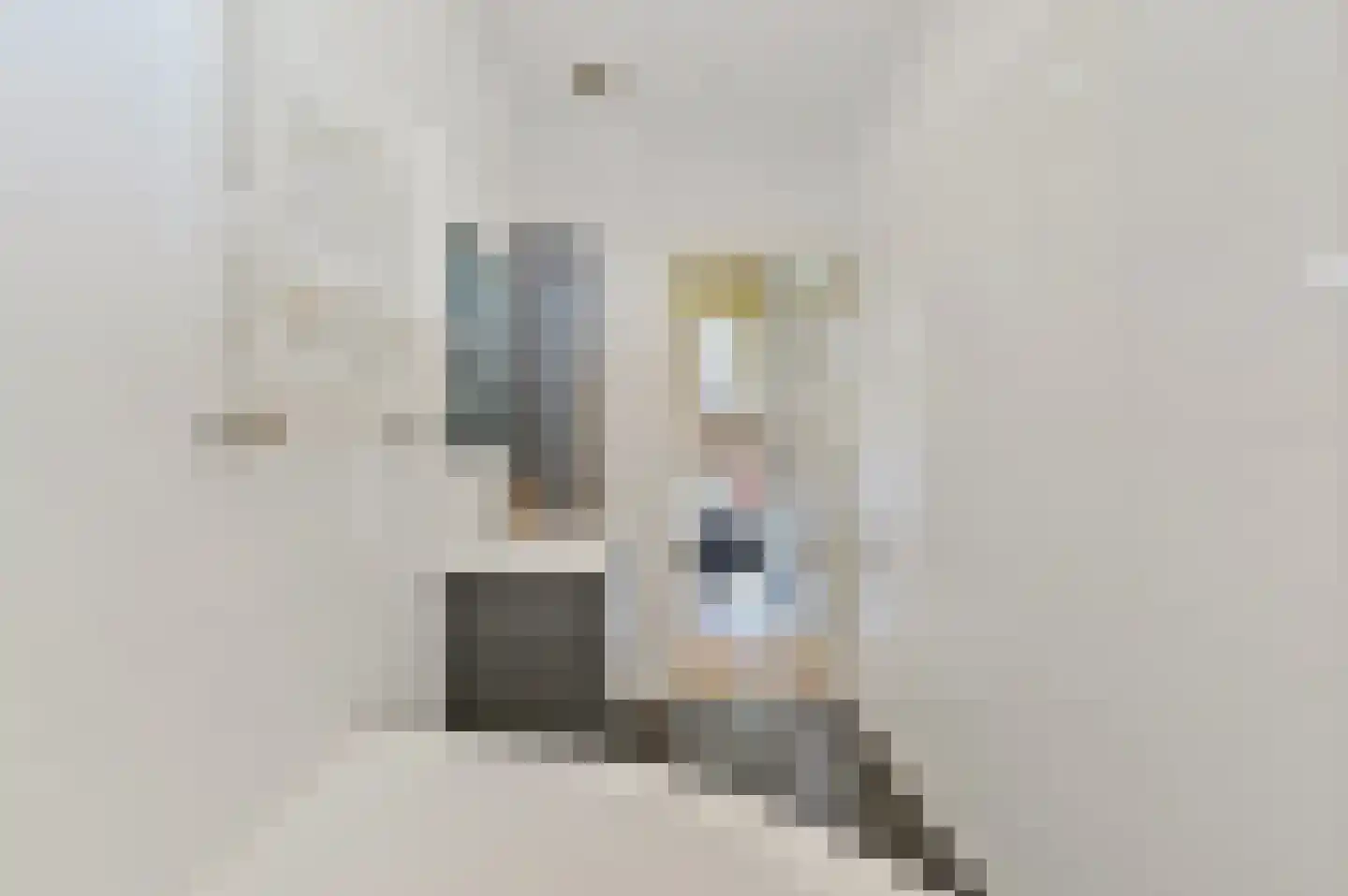 Elise van Calcarstraat 24 Den Haag thumbnail 15