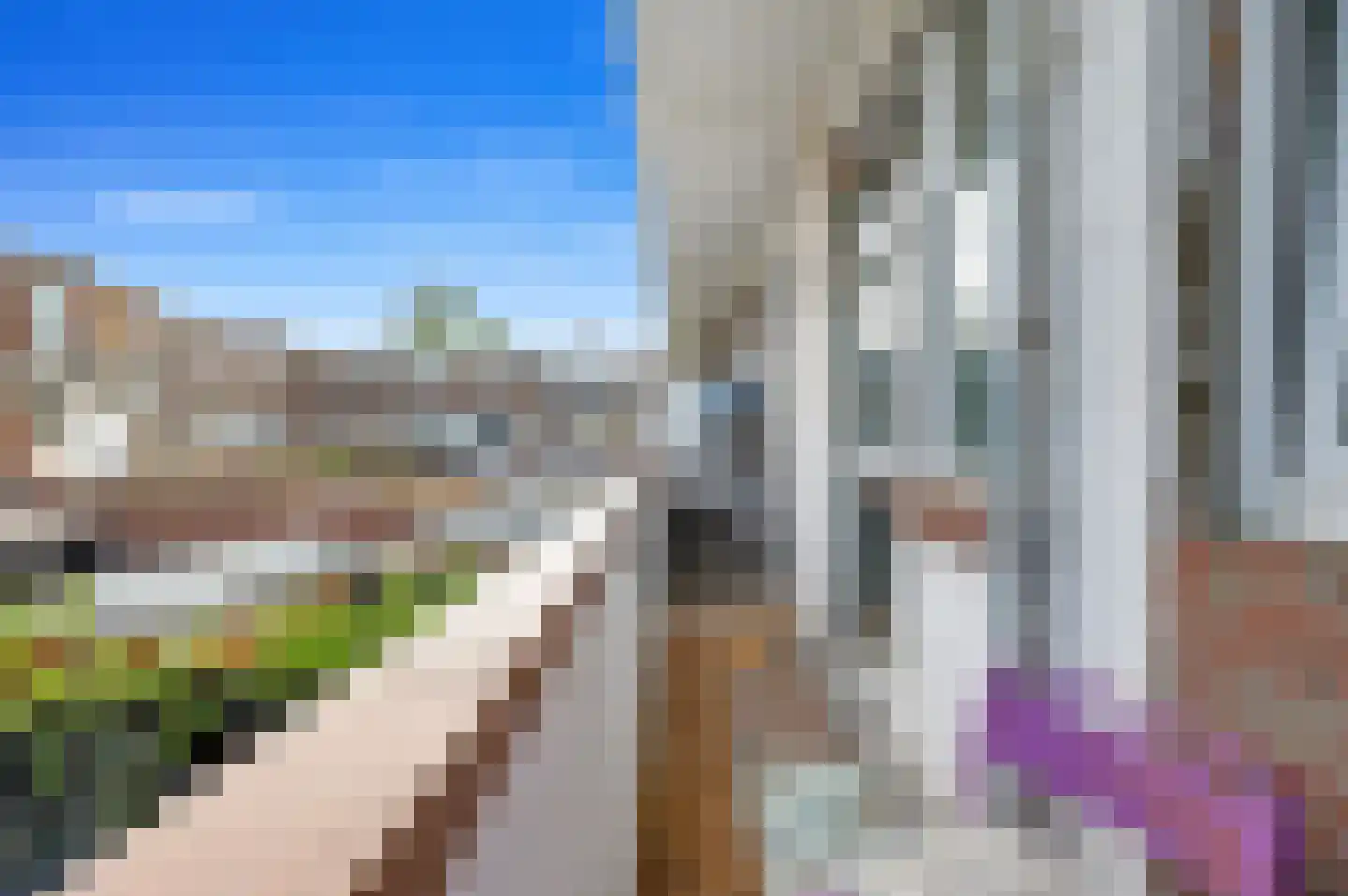 Elise van Calcarstraat 24 Den Haag thumbnail 19