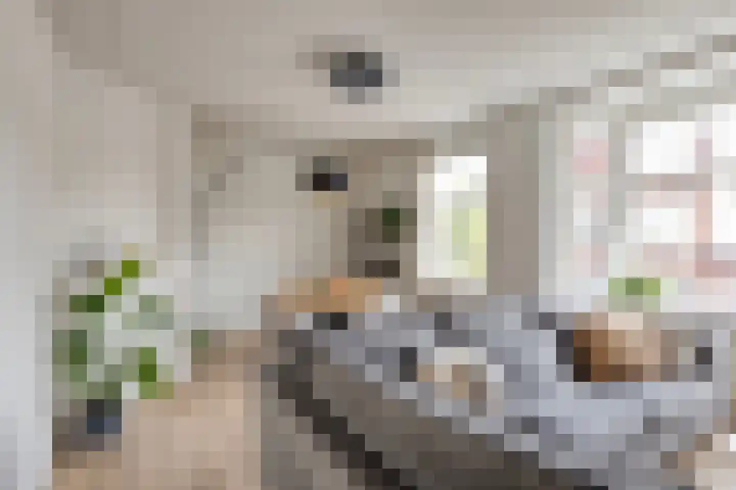 Elise van Calcarstraat 33 Den Haag thumbnail 10