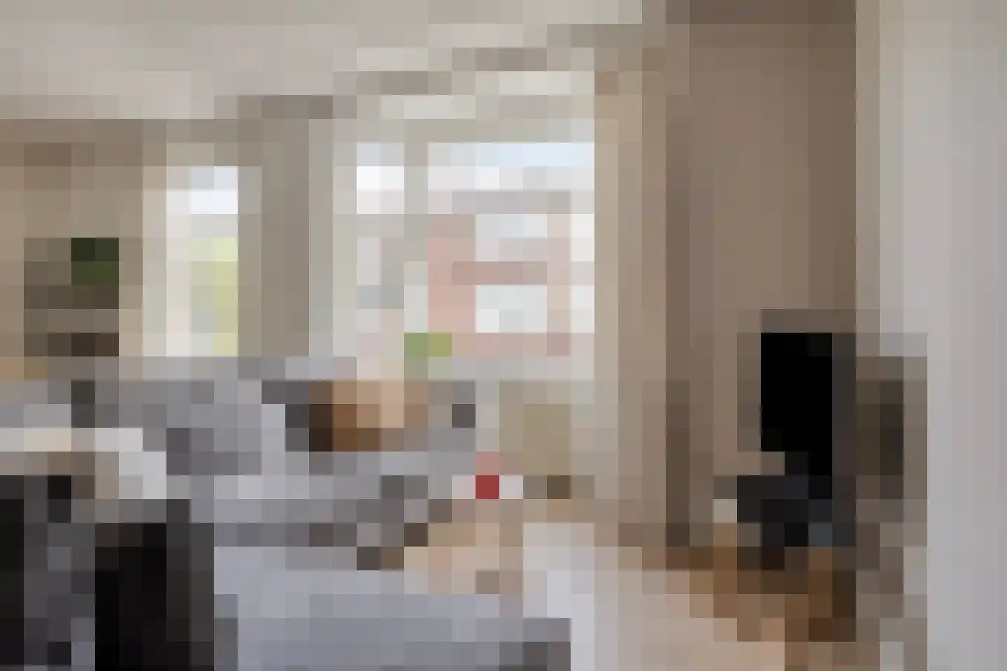Elise van Calcarstraat 33 Den Haag thumbnail 11