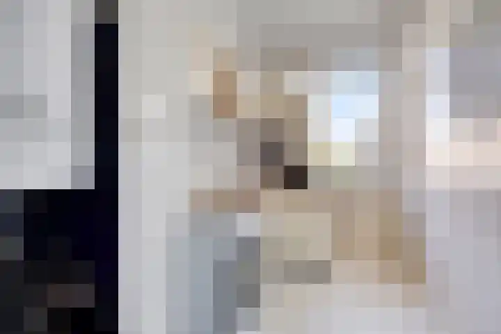 Elise van Calcarstraat 33 Den Haag thumbnail 12