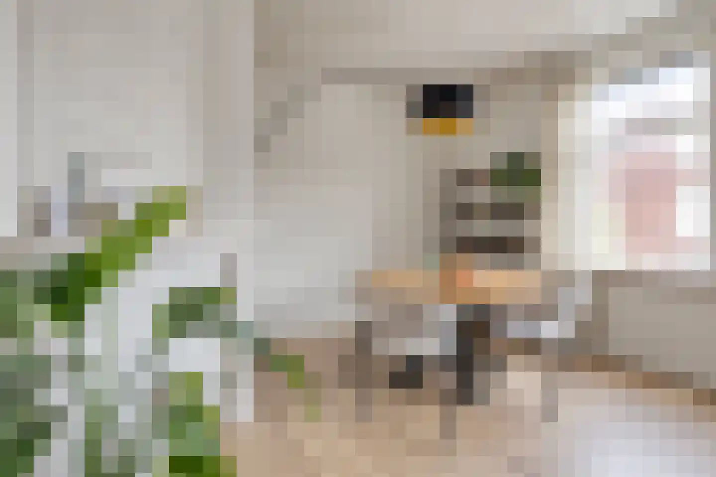 Elise van Calcarstraat 33 Den Haag thumbnail 12