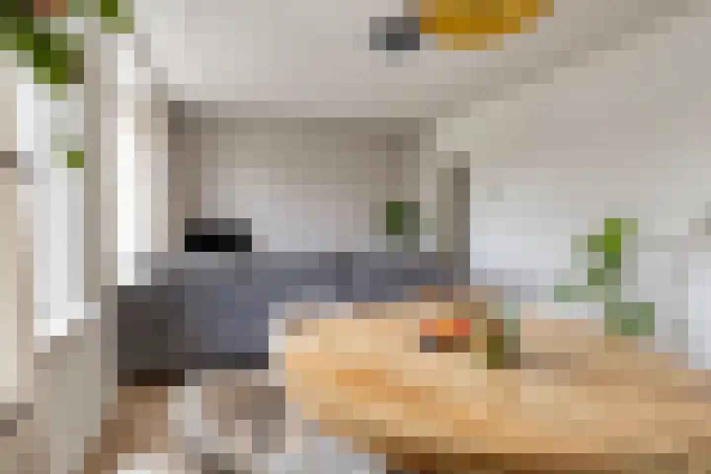 Elise van Calcarstraat 33 Den Haag thumbnail 13