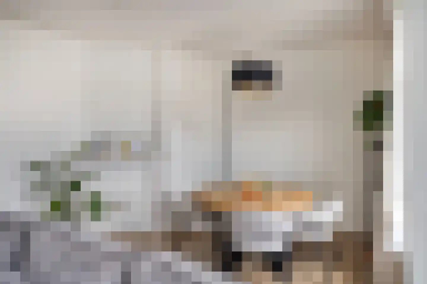 Elise van Calcarstraat 33 Den Haag thumbnail 15