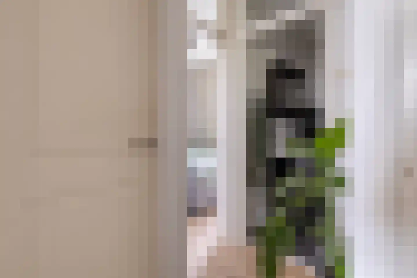 Elise van Calcarstraat 33 Den Haag thumbnail 19