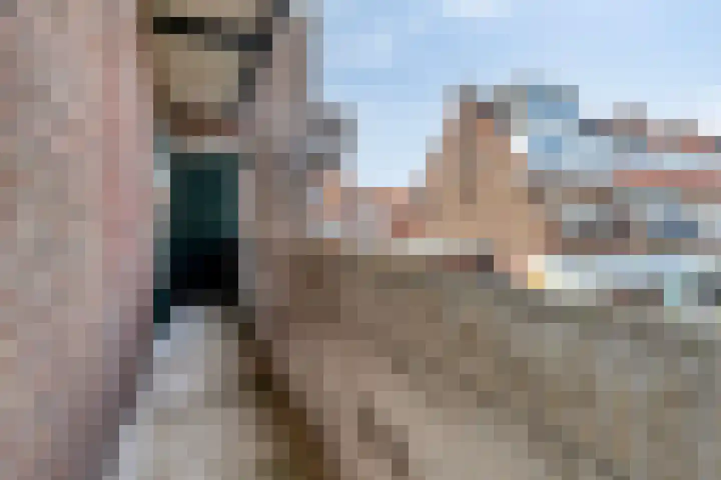 Elise van Calcarstraat 33 Den Haag thumbnail 28