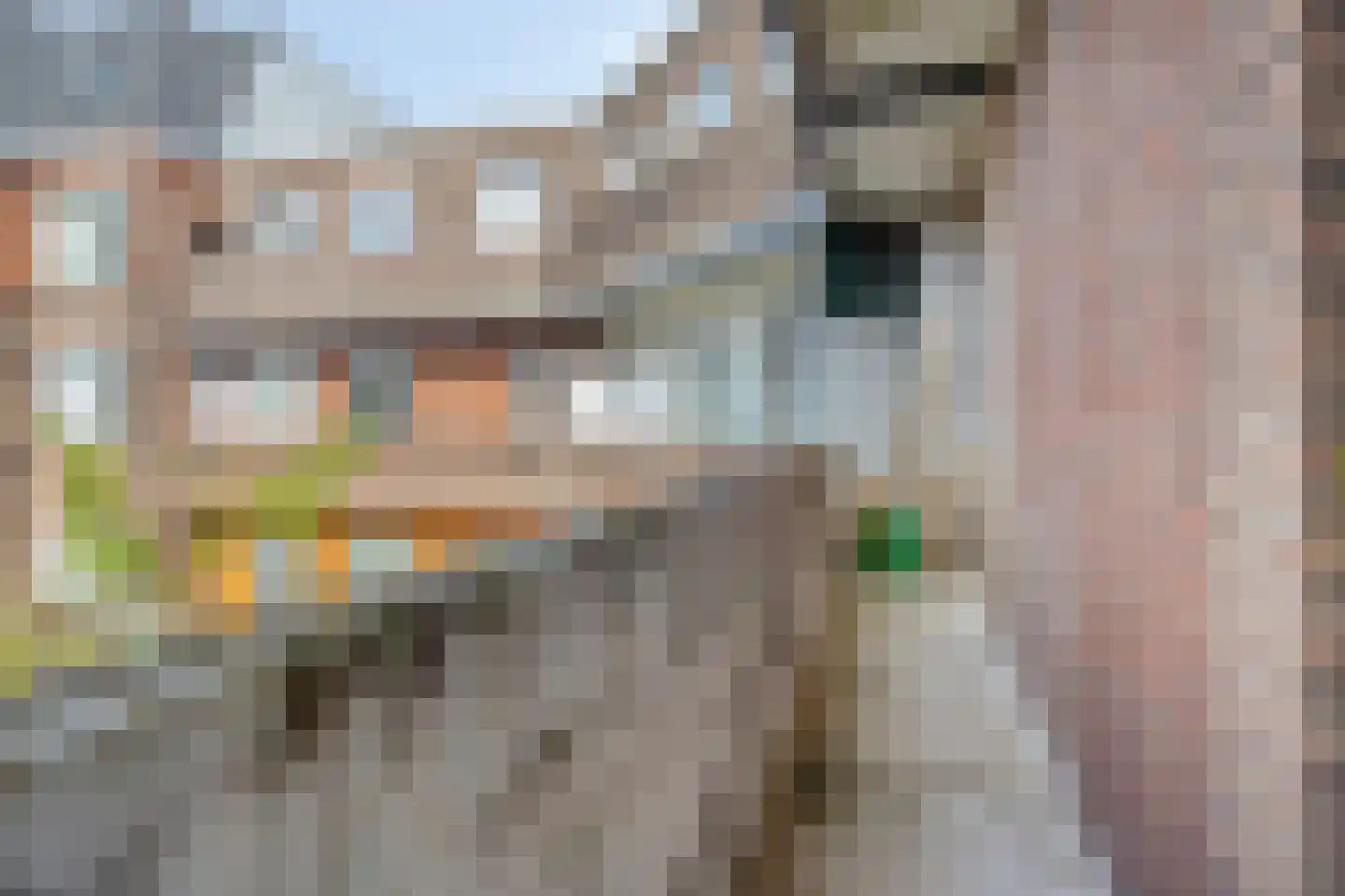 Elise van Calcarstraat 33 Den Haag thumbnail 29