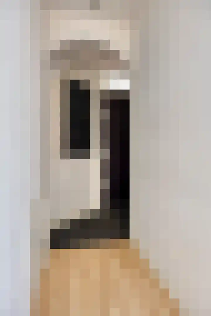 Elise van Calcarstraat 33 Den Haag thumbnail 6