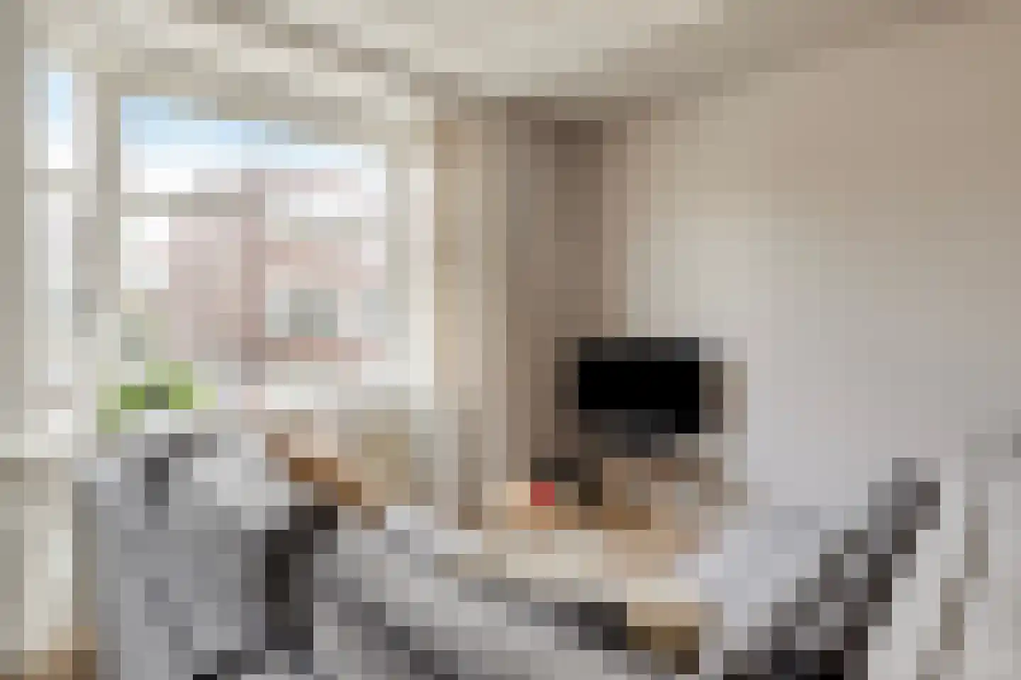 Elise van Calcarstraat 33 Den Haag thumbnail 7