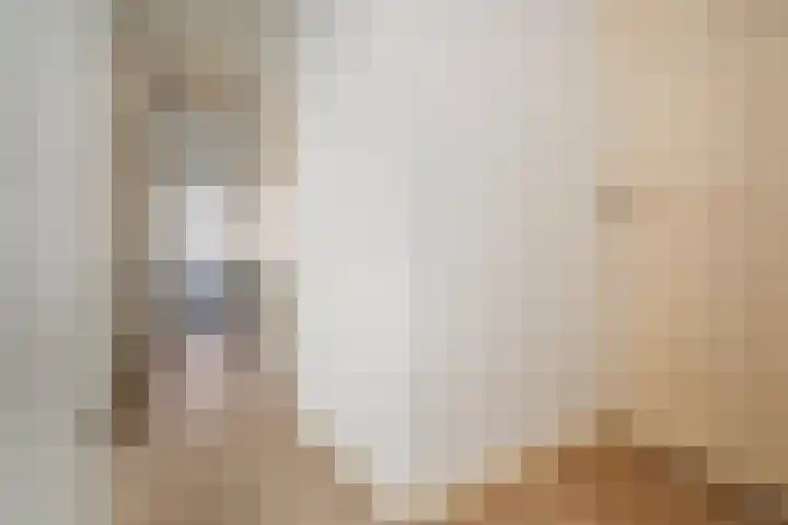 Elise van Calcarstraat 45 Den Haag thumbnail 5