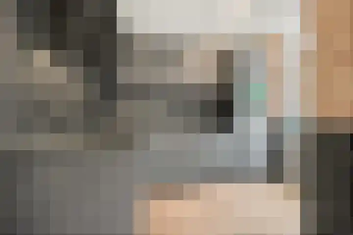 Elise van Calcarstraat 49 Den Haag thumbnail 6
