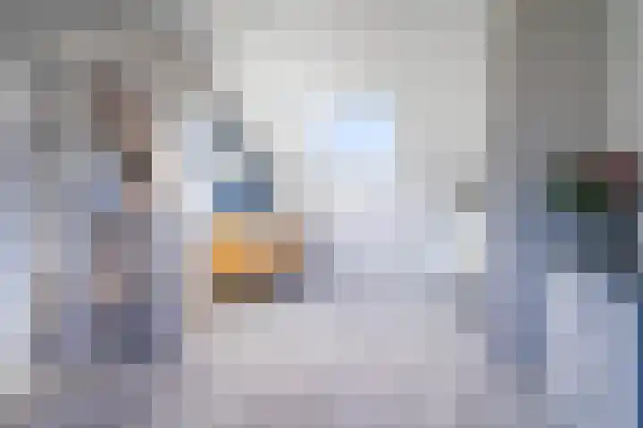 Elise van Calcarstraat 50 Breda thumbnail 26