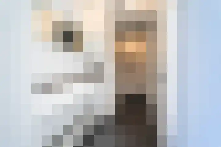 Elise van Calcarstraat 50 Breda thumbnail 5