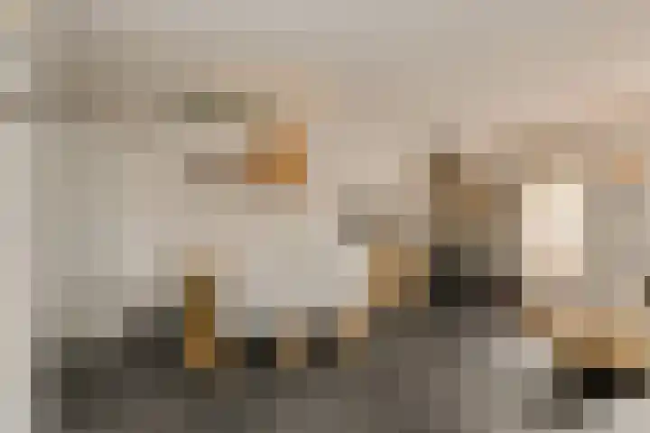 Elise van Calcarstraat 66 Breda thumbnail 15