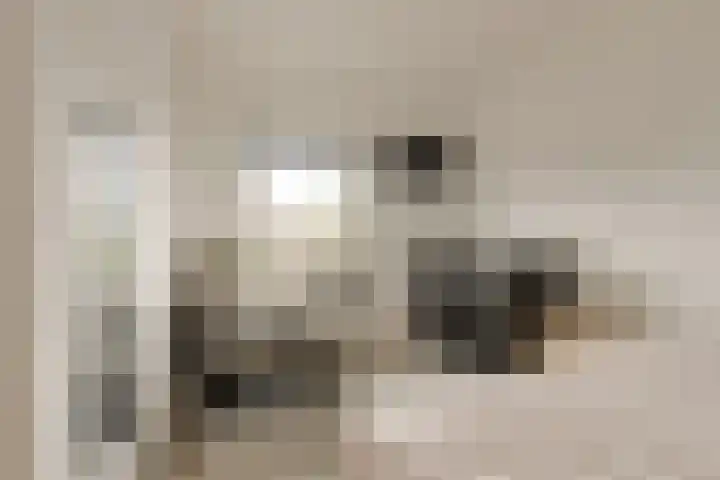 Elise van Calcarstraat 66 Breda thumbnail 30